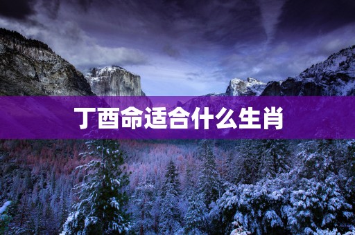 丁酉命适合什么生肖
