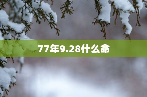 77年9.28什么命