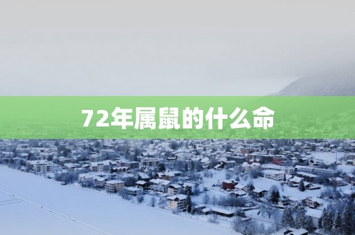 72年属鼠的什么命