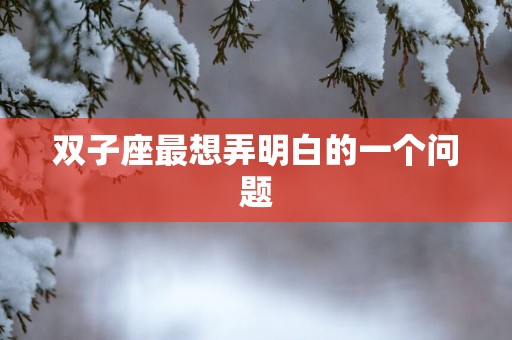 双子座最想弄明白的一个问题