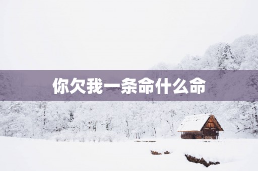 你欠我一条命什么命