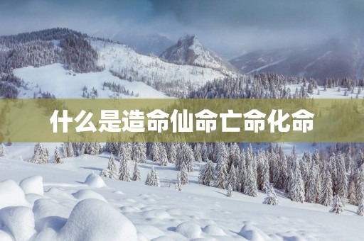什么是造命仙命亡命化命