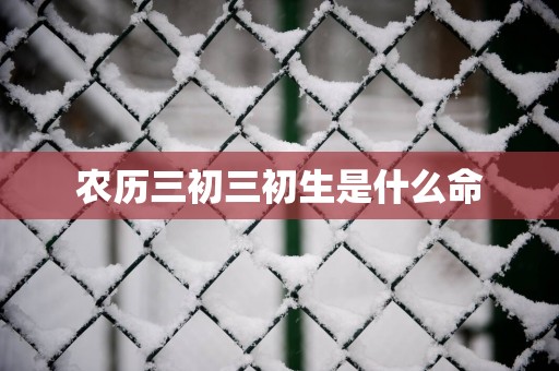 农历三初三初生是什么命