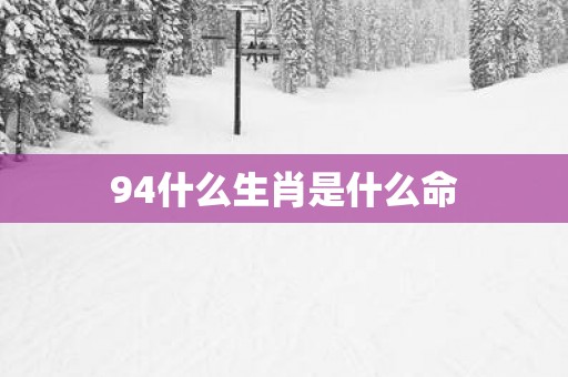 94什么生肖是什么命