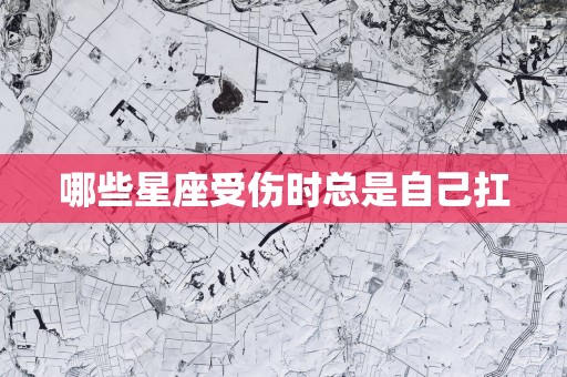 哪些星座受伤时总是自己扛
