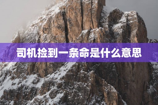 司机捡到一条命是什么意思