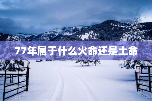 77年属于什么火命还是土命