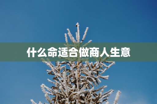什么命适合做商人生意