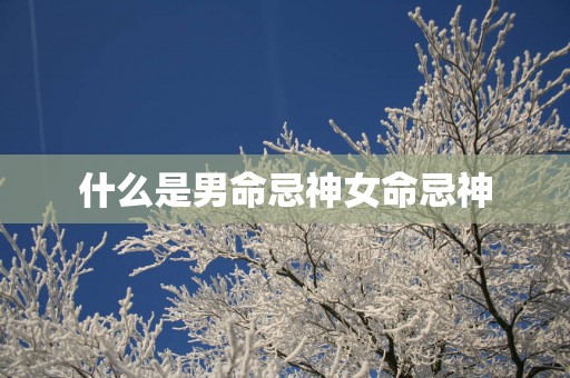 什么是男命忌神女命忌神