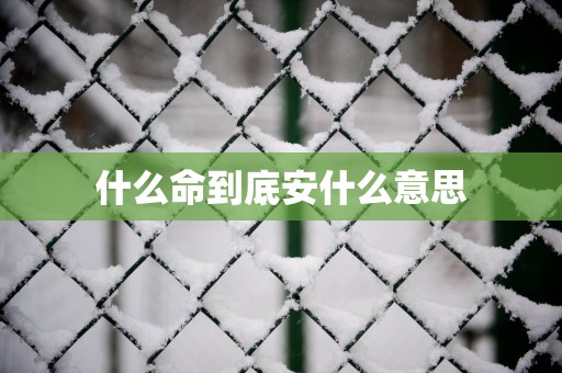 什么命到底安什么意思