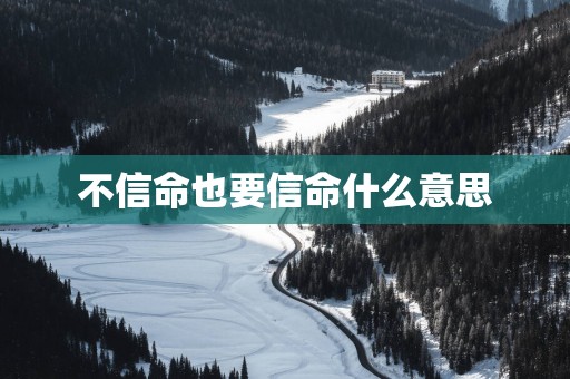 不信命也要信命什么意思