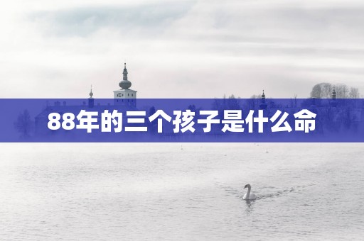 88年的三个孩子是什么命