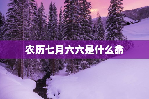 农历七月六六是什么命