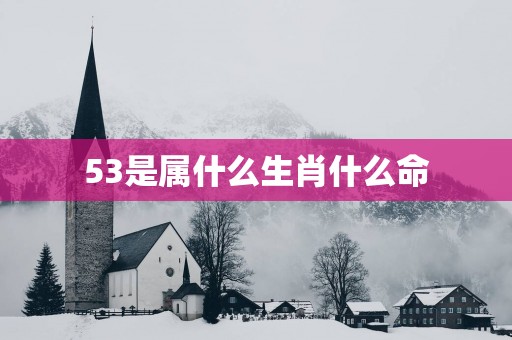 53是属什么生肖什么命
