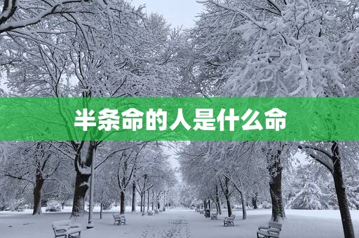 半条命的人是什么命
