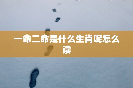 一命二命是什么生肖呢怎么读