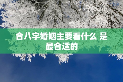 合八字婚姻主要看什么 是最合适的
