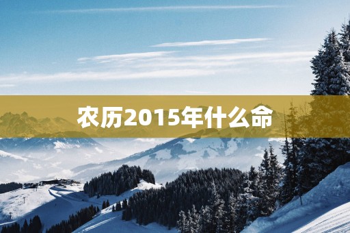 农历2015年什么命