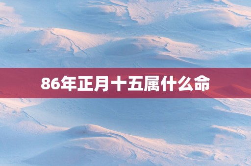 86年正月十五属什么命