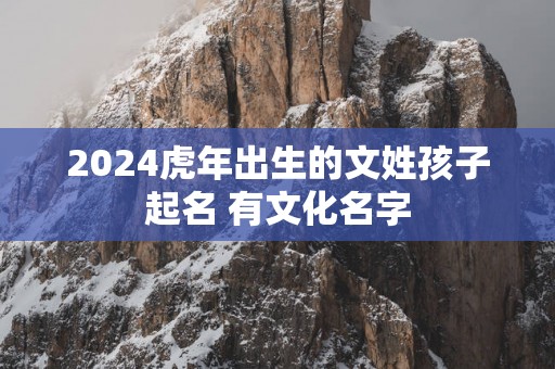 2025蛇年出生的文姓孩子起名 有文化名字