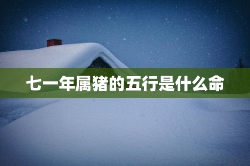 七一年属猪的五行是什么命