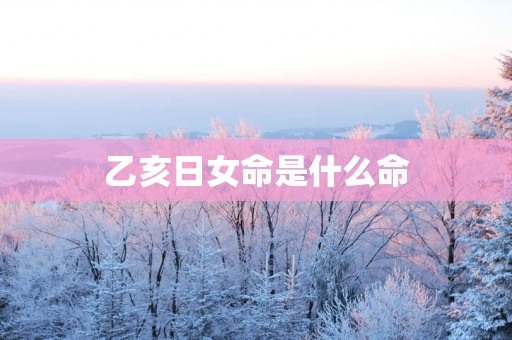 乙亥日女命是什么命