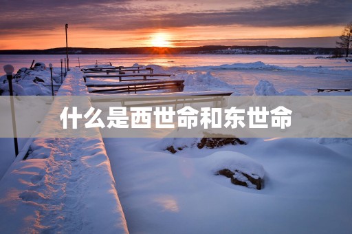 什么是西世命和东世命
