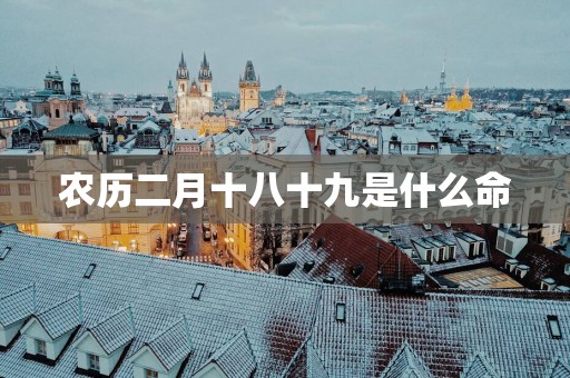 农历二月十八十九是什么命