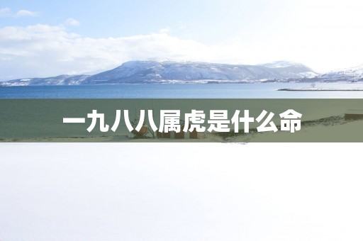 一九八八属虎是什么命