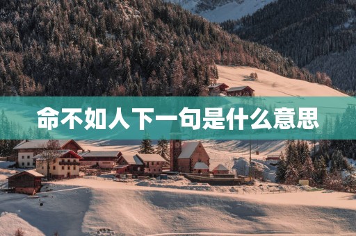 命不如人下一句是什么意思