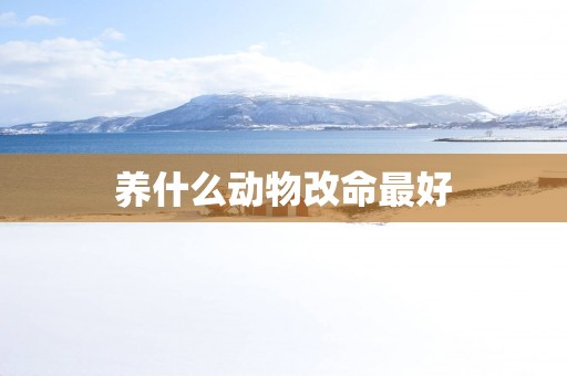 养什么动物改命最好
