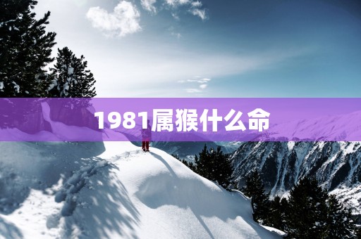 1981属猴什么命