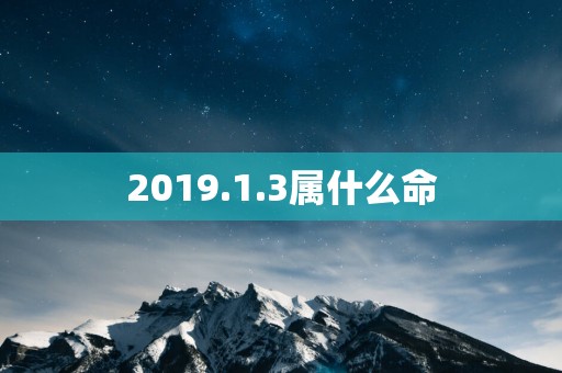 2019.1.3属什么命