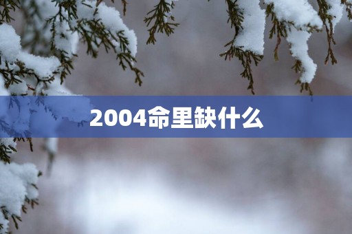 2004命里缺什么
