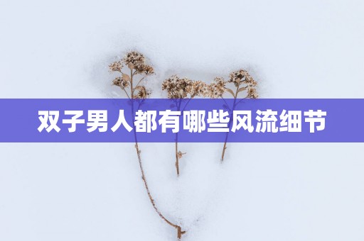 双子男人都有哪些风流细节