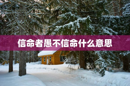 信命者愚不信命什么意思