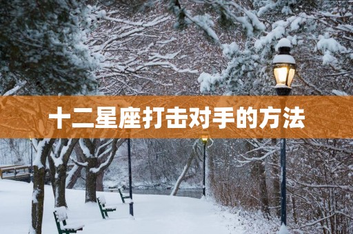 十二星座打击对手的方法