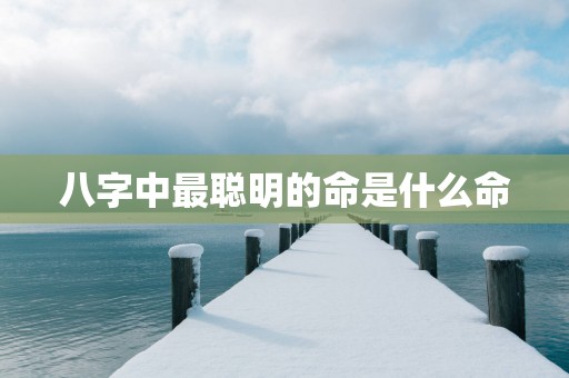 八字中最聪明的命是什么命