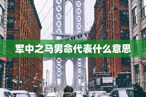 军中之马男命代表什么意思