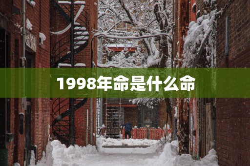 1998年命是什么命