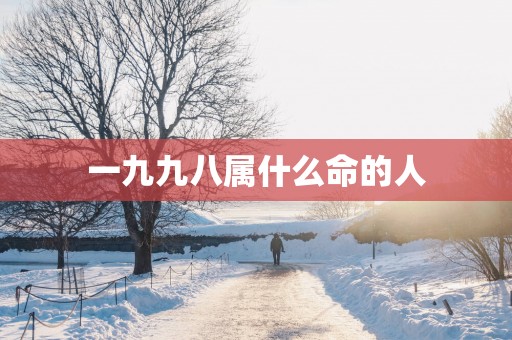 一九九八属什么命的人