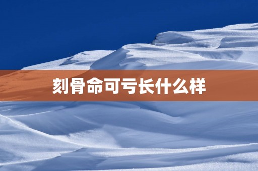 刻骨命可亏长什么样