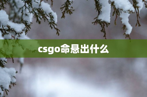 csgo命悬出什么