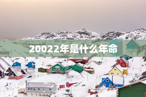 20022年是什么年命