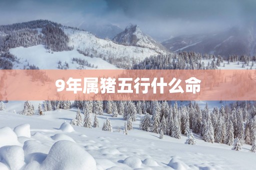 9年属猪五行什么命