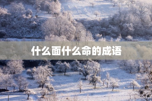 什么面什么命的成语