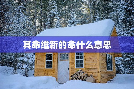 其命维新的命什么意思