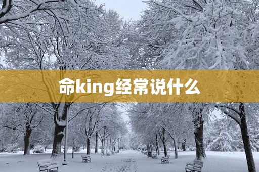 命king经常说什么