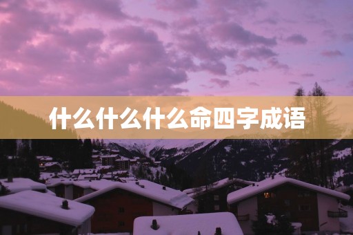 什么什么什么命四字成语