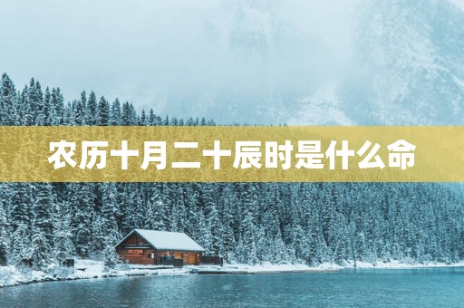 农历十月二十辰时是什么命